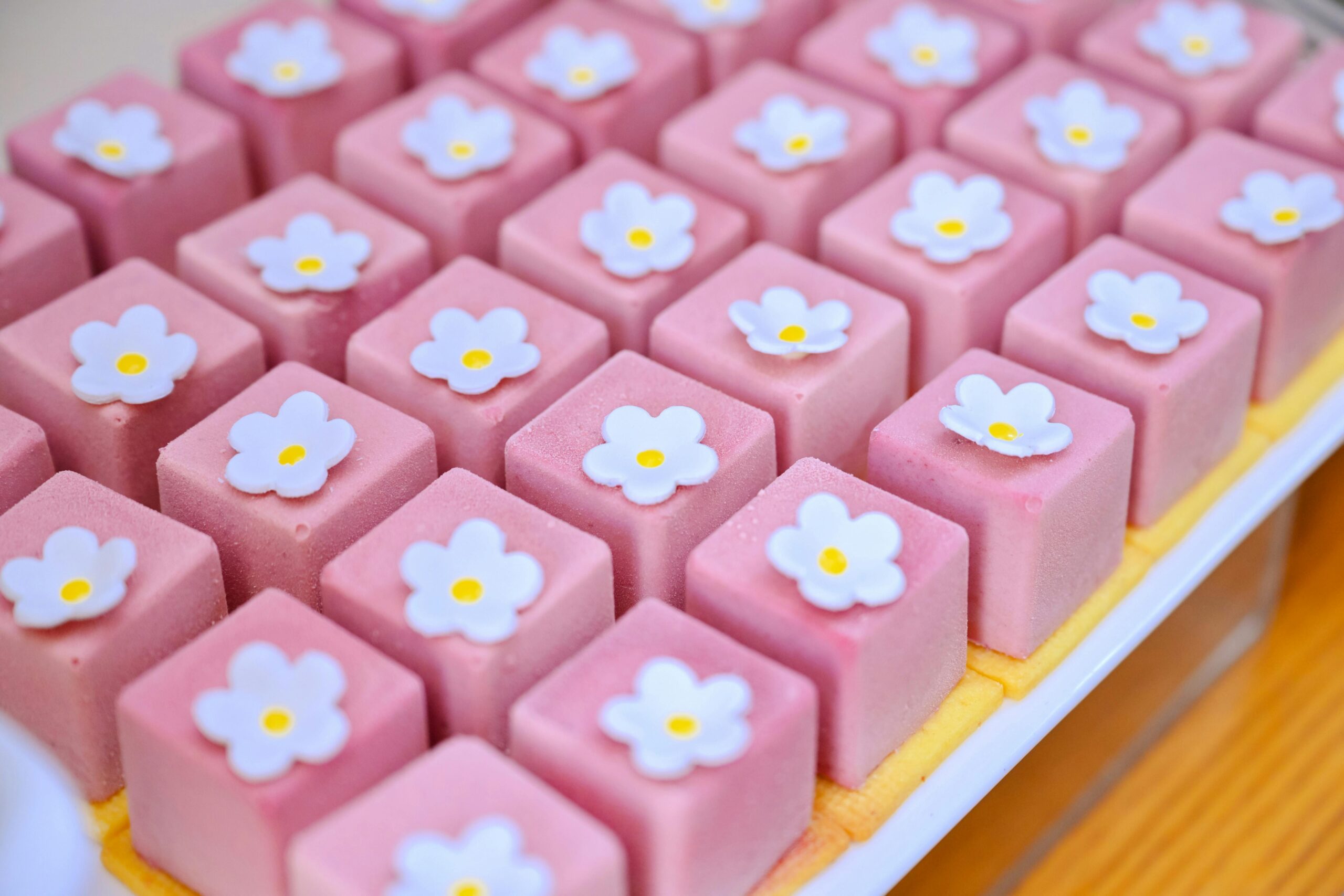 The Spring, Easter and Summer Collections of 2026